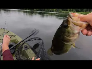 TOPWATER Frog Fishing EAGAN Pond from KAYAK BIG BLOW UPS