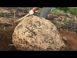 You won t believe it but inside a giant termite mound a