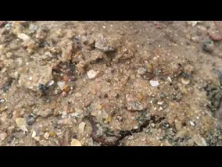 aproveitando as férias nas praias do Ceará e procurando