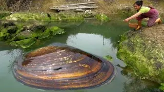 I plan to take down all the pearls in the river there are