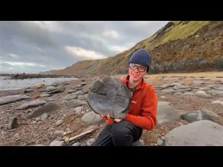 We Can t Identify This Fossil Found Among a LANDSLIDE