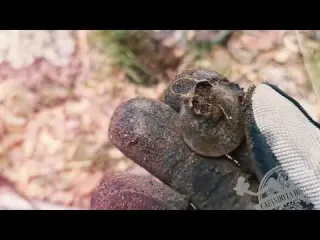 La Cruz en la Roca Relatos de un Cazador de Historia