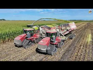 Corn Silage Harvest Case IH Quadtracs Amity Crop