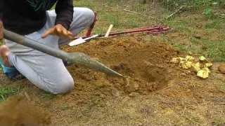 Adventure and Exploration Metal Detector Searching for