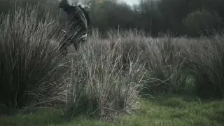 Metal detecting in Northern Ireland Find of a lifetime