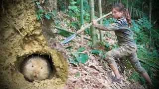 Detecting bamboo rats bamboo rat digging skills making a