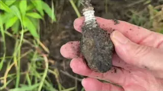 Look What We Found Under a Collapsing Riverbank