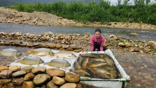 only a white tarp and unexpectedly caught a large haul of
