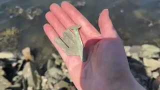 Rising Tide Strange Hoard an Indestructible Find Mudlarking