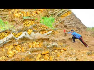 wow Unbelievable Gold Nugget Discovery found under stone