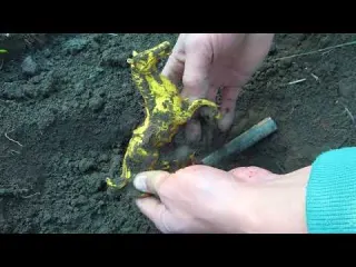 I Found 13 Wedding Rings Metal Detecting Underwater