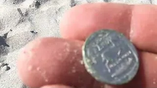 Private Beach Metal Detecting