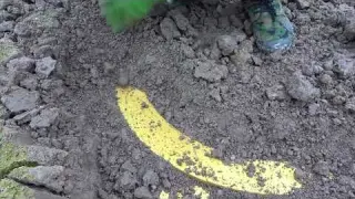 What We Discovered Buried Shocked The Whole World Strange