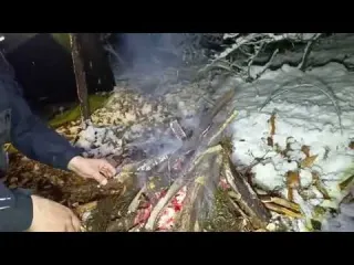 48 Hours Alone in a Blizzard 21 C Tarp Shelter Survival