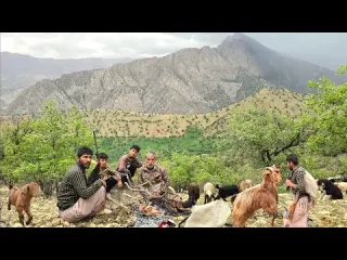 Jahangir s Adventure Traveling to lush oak forests for