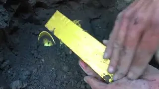 I found a huge golden turtle that had been buried in a cave