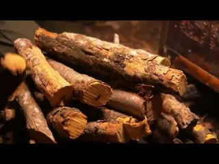 7 Days of Bushcraft Camping Adventures with My Dog