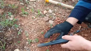 Defineci Tektekçi Bulmaya Devam Ediyor