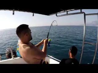 130 Metre Derinden Gelen Dev Giant Grouper From Deep