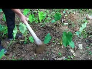Building a Bushcraft House by the Waterfall Finishing the