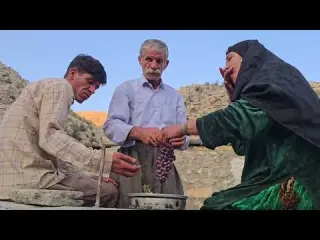 Harvesting organic apples and grapes by nomads The secret