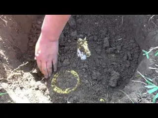 The treasure hunter s luck exploded and they dug up a huge