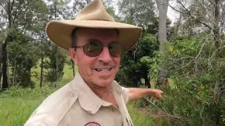 Metal Detecting One Room School A Little Silver