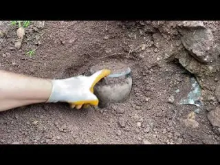 WE FOUND A LOT OF VALUABLE TREASURES WE FOUND A LOT OF