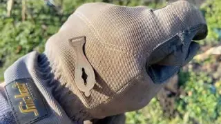 Metal Detecting in the Netherlands NR 67