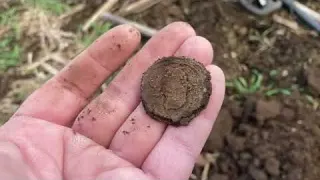 I Thought I d NEVER Find One Metal Detecting SUCCESS With