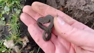 Metal Detecting in the Netherlands NR 68