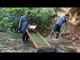 SHOCK Digging Up Giant Gold Nuggets Worth a Fortune
