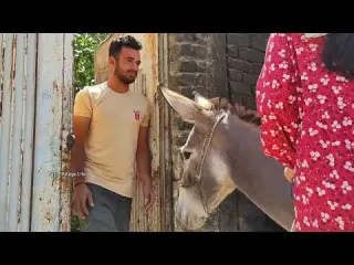 Village Life In Iran Amazing Cooking Donkey Riding
