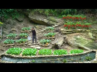 Living alone in the forest gardening and growing pumpkins