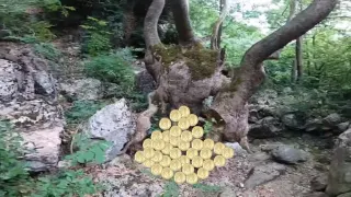 Dere Kenarında Define İşareti Kasalar Arama Anı