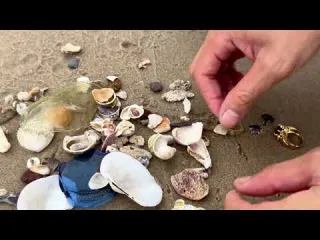 100 Days Finding Secret Ocean Treasures Unearthing Red Dial