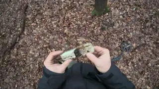 Diebesgut Knochen mitten im Wald am Ort des Gold Schmucks