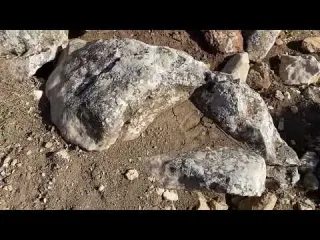 SEL KAYAYI GÖRENLER ŞOK OLACAK