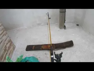 Nem acreditei o que achei quando mergulhei 04