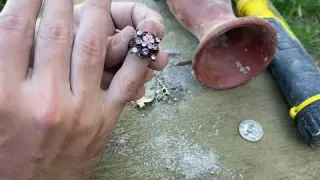 Treasure Hunter Treasure Finding Moment