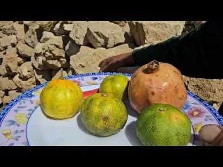 Building a strong wall for a donkey shelter in the