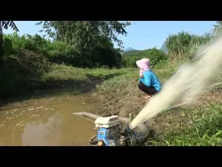 How to catch a miracle fish Use a pump to suck all the