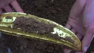 Conquering the Desert and Capturing Treasures Metal