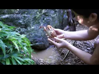 Simple Life in the Forest Catching Mountain Crabs for a