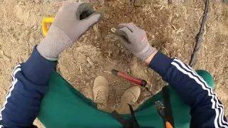 GOLD GEFUNDEN Sondeln Wenn das Glück belohnt wird Kurz und