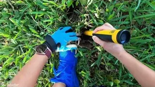 Metal Detecting Under Historic Tree