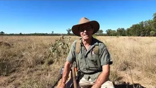 Metal Detecting a Western Ghost Town Part 2