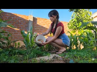 Una vida sencilla en el CAMPO