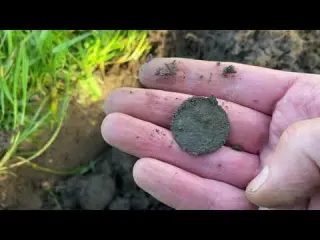 Metal Detecting in the Netherlands NR 66