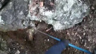 Zirvede Define Aramaya Devam Ediyorum
